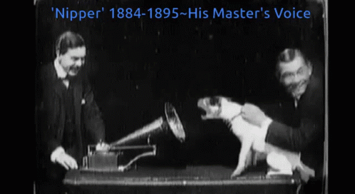 [Digital Biting Nipper]